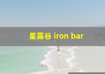 星露谷 iron bar